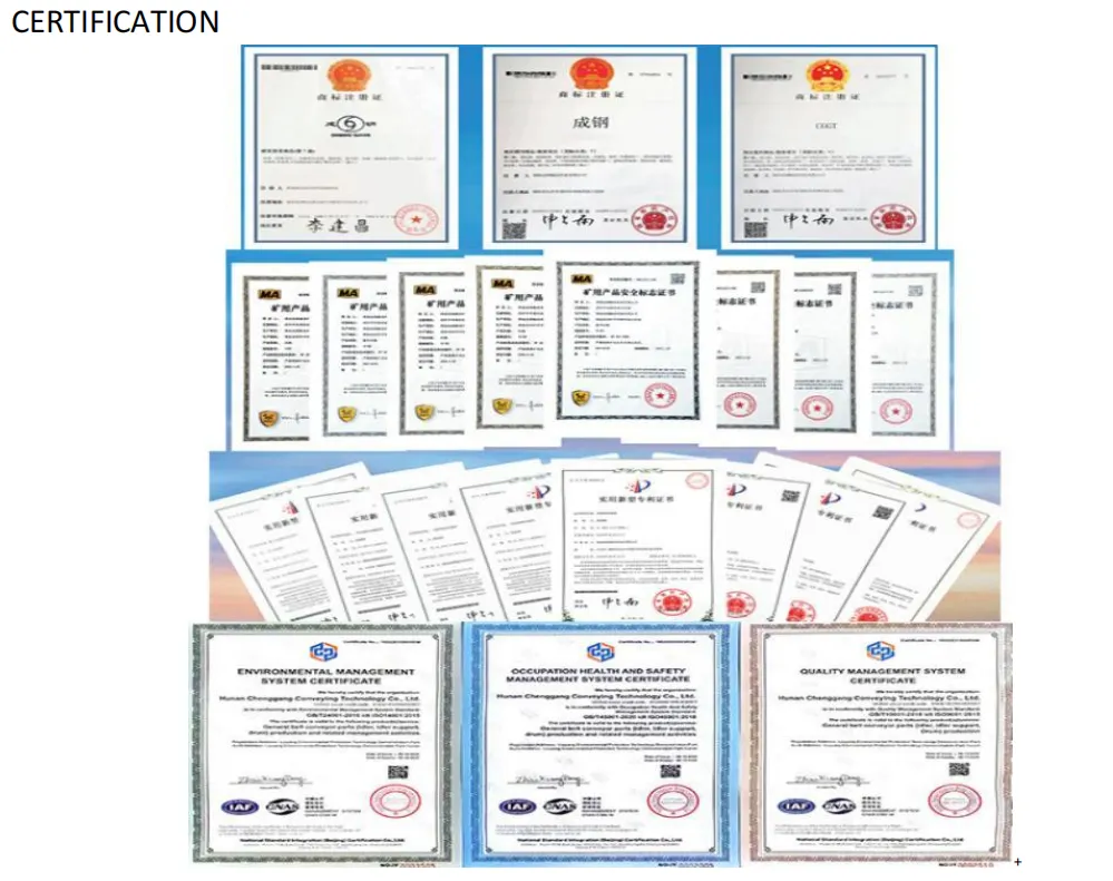 Trough Idler with Bracket