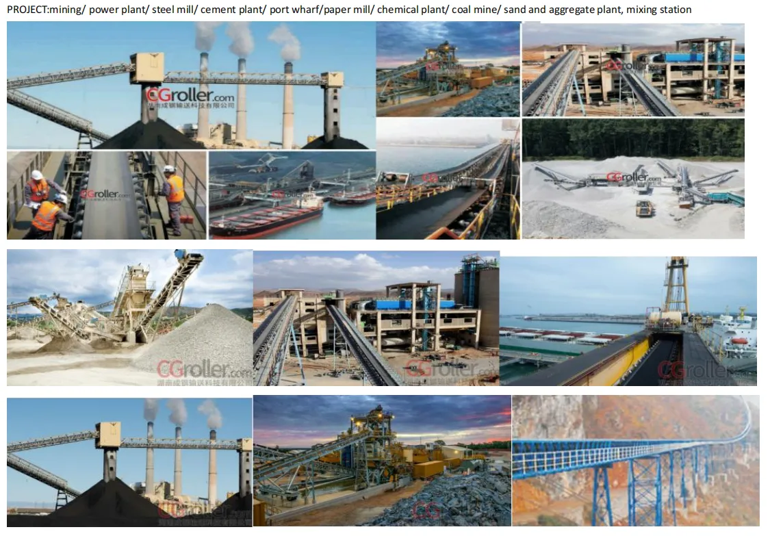 Trough Idler with Bracket